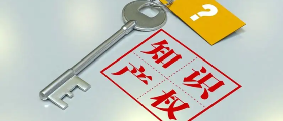 图片新闻 国家知识产权局:建立健全知识产权领域以信用为基础的新型监管机制