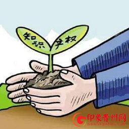 贵州省知识产权保护重点联系机制正式建立,85家企事业单位入选