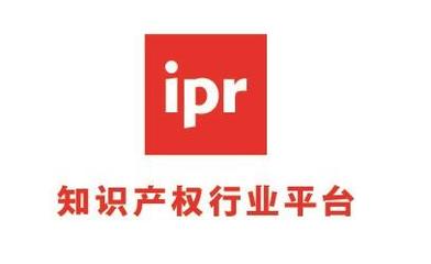 《知识产权行业平台》股权融资商业计划书
