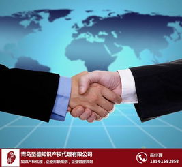 网页设计软件 青岛圣德 在线咨询 山东网页设计