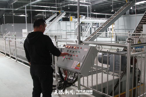 全国首家自主知识产权全智能化白参菌栽培工厂落户大方