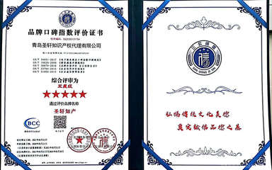 圣轩知识产权