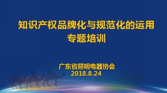 新闻 协会举办 知识产权品牌化与规范化的运用 专题培训 解读知识产权项目申报新形势