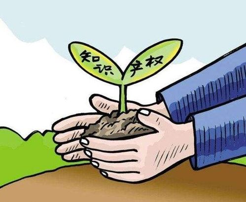 武汉实用新型专利代理申请公司