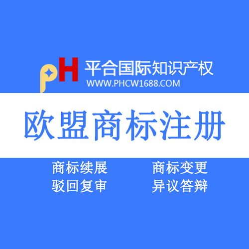 丹东广州代理商标注册常用解决方案